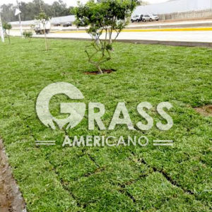 instalacion de grass