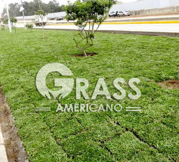 instalacion de grass
