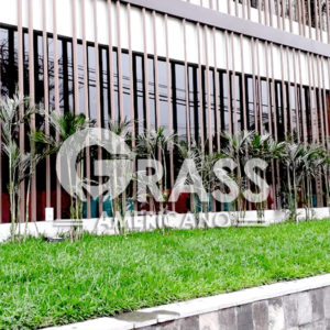 Venta de GRASS en Tarapoto