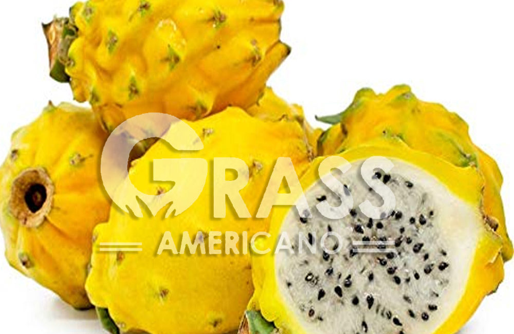 PITAHAYA